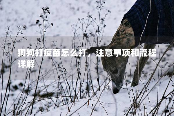 狗狗打疫苗怎么打，注意事項和流程詳解