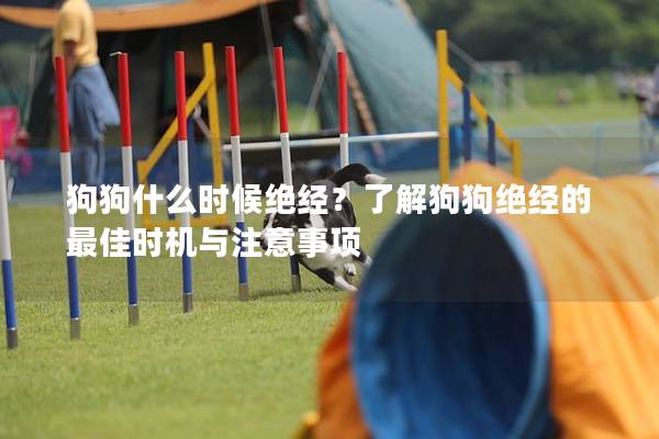 狗狗什么時候絕經？了解狗狗絕經的最佳時機與注意事項