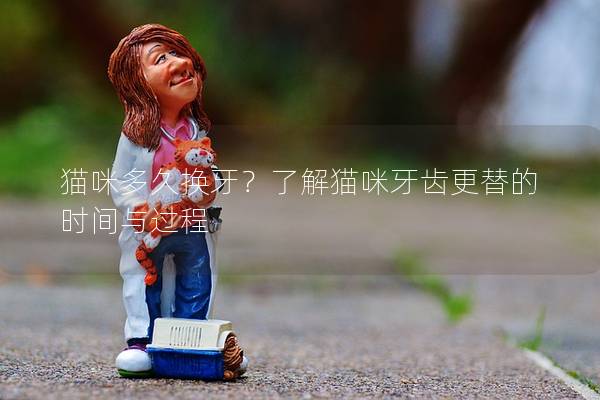 貓咪多久換牙?了解貓咪牙齒更替的時(shí)間與過程 貓咪多久換牙?了解貓咪牙齒更替的時(shí)間與過程