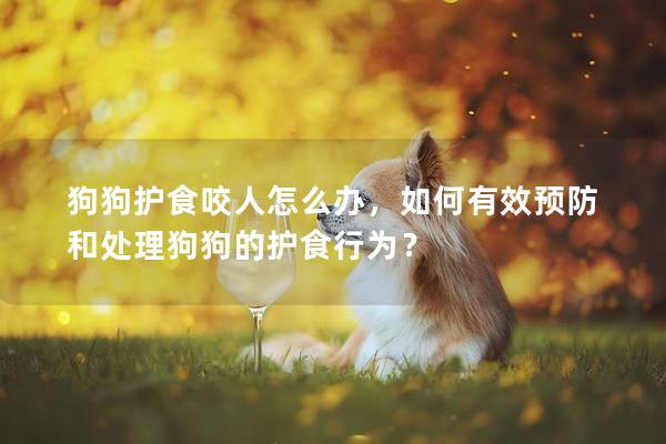 狗狗護食咬人怎么辦，如何有效預防和處理狗狗的護食行為？