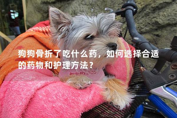 狗狗骨折了吃什么藥，如何選擇合適的藥物和護理方法？