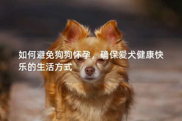 如何避免狗狗懷孕，確保愛犬健康快樂的生活方式