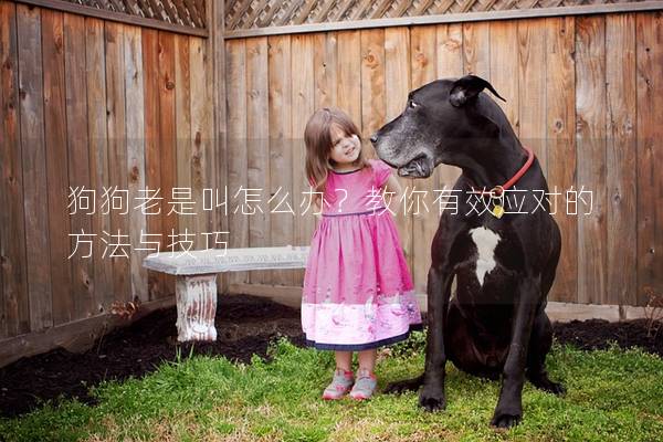 狗狗老是叫怎么辦？教你有效應對的方法與技巧