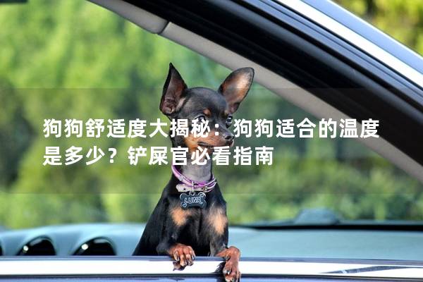 狗狗舒適度大揭秘：狗狗適合的溫度是多少？鏟屎官必看指南