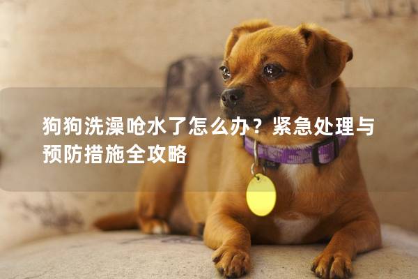 狗狗洗澡嗆水了怎么辦？緊急處理與預防措施全攻略