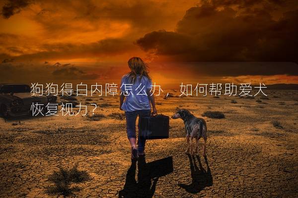 狗狗得白內障怎么辦，如何幫助愛犬恢復視力？