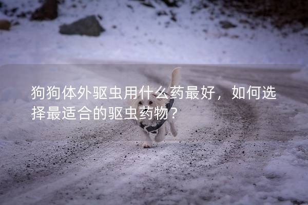 狗狗體外驅蟲用什么藥最好，如何選擇最適合的驅蟲藥物？