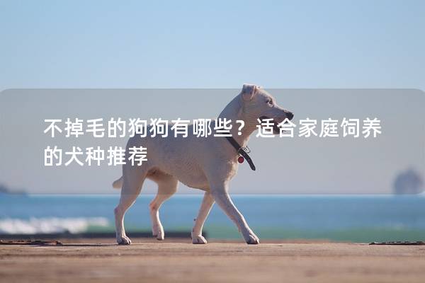 不掉毛的狗狗有哪些？適合家庭飼養的犬種推薦