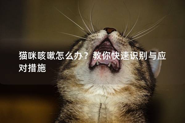 貓咪咳嗽怎么辦？教你快速識(shí)別與應(yīng)對(duì)措施