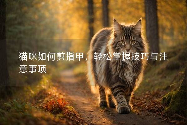 貓咪如何剪指甲，輕松掌握技巧與注意事項