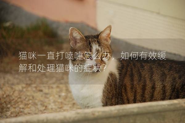 貓咪一直打噴嚏怎么辦，如何有效緩解和處理貓咪的癥狀？
