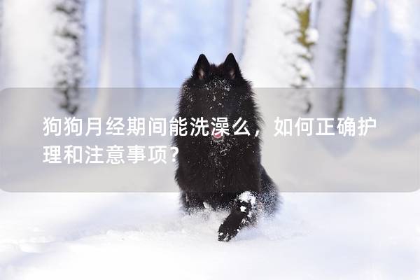 狗狗月經期間能洗澡么，如何正確護理和注意事項？