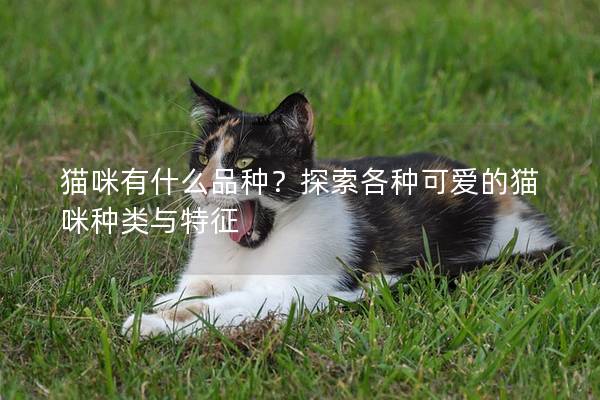 貓咪有什么品種？探索各種可愛的貓咪種類與特征