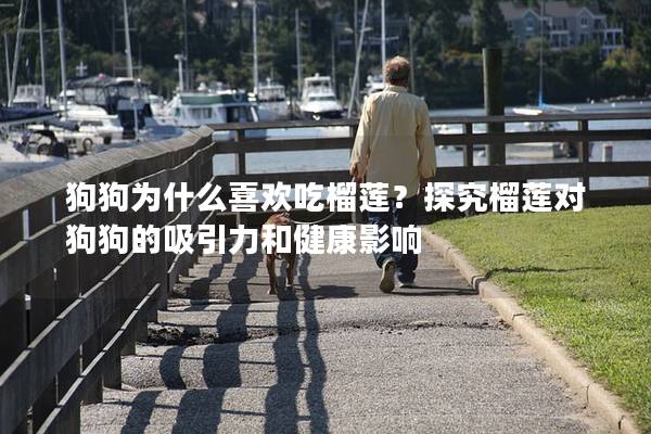 狗狗為什么喜歡吃榴蓮？探究榴蓮對(duì)狗狗的吸引力和健康影響