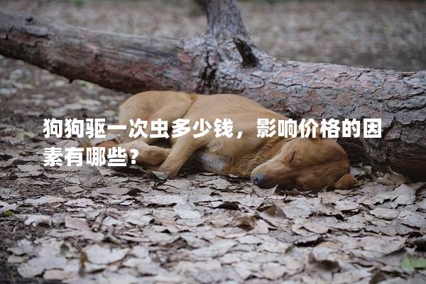 狗狗驅一次蟲多少錢，影響價格的因素有哪些？