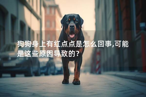 狗狗身上有紅點點是怎么回事,可能是這些原因導致的？
