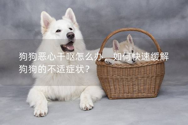 狗狗惡心干嘔怎么辦，如何快速緩解狗狗的不適癥狀？