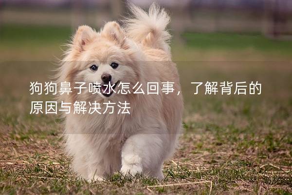 狗狗鼻子噴水怎么回事，了解背后的原因與解決方法