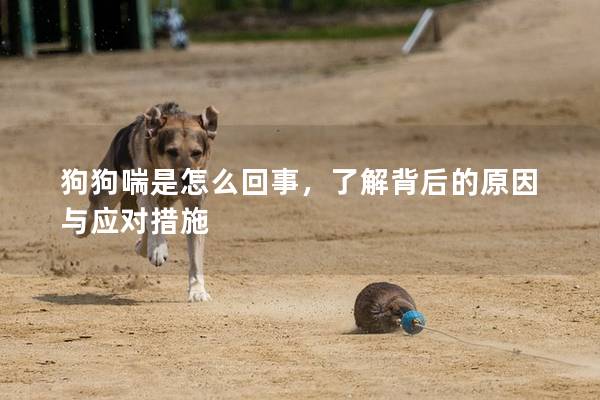 狗狗喘是怎么回事，了解背后的原因與應(yīng)對措施