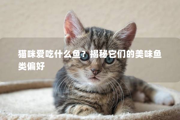 貓咪愛吃什么魚？揭秘它們的美味魚類偏好