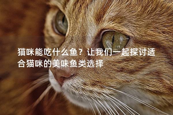 貓咪能吃什么魚？讓我們一起探討適合貓咪的美味魚類選擇