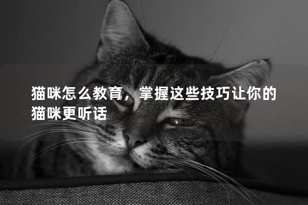 貓咪怎么教育，掌握這些技巧讓你的貓咪更聽話