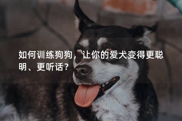 如何訓(xùn)練狗狗，讓你的愛犬變得更聰明、更聽話？