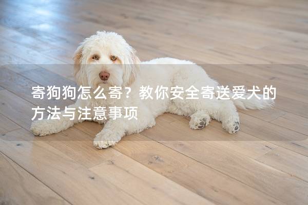 寄狗狗怎么寄?教你安全寄送愛犬的方法與注意事項 寄狗狗怎么寄?教你安全寄送愛犬的方法與注意事項