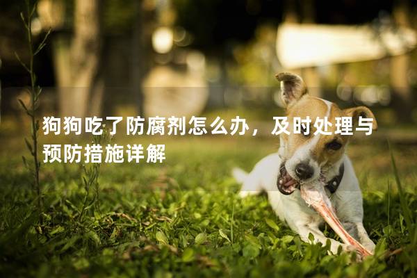 狗狗吃了防腐劑怎么辦，及時處理與預防措施詳解
