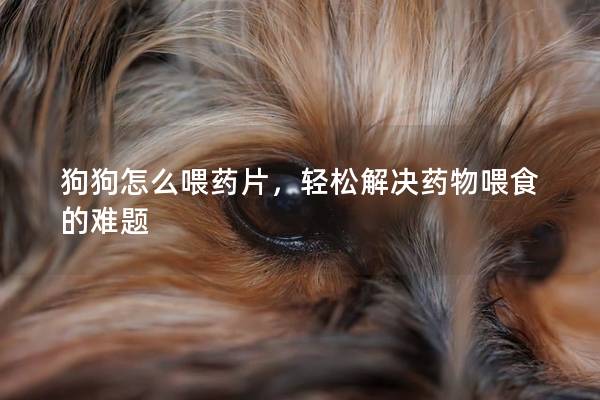 狗狗怎么喂藥片，輕松解決藥物喂食的難題