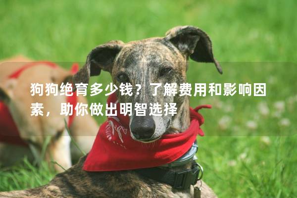 狗狗絕育多少錢？了解費用和影響因素，助你做出明智選擇