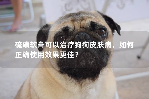硫磺軟膏可以治療狗狗皮膚病，如何正確使用效果更佳？