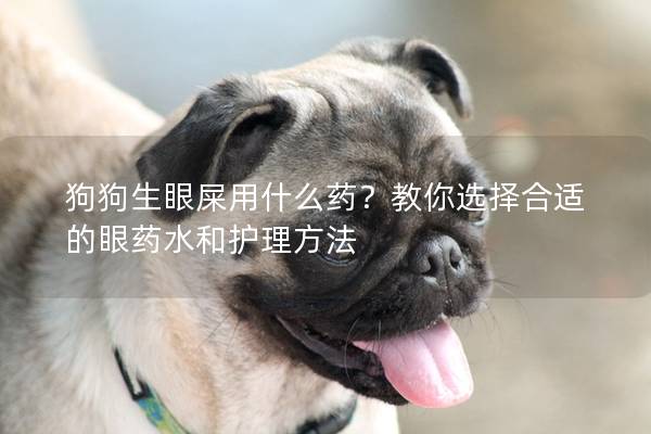 狗狗生眼屎用什么藥？教你選擇合適的眼藥水和護理方法