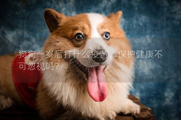 狗狗一歲后打什么疫苗，保護(hù)健康不可忽視嗎？