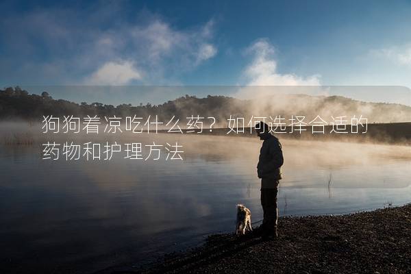 狗狗著涼吃什么藥？如何選擇合適的藥物和護(hù)理方法