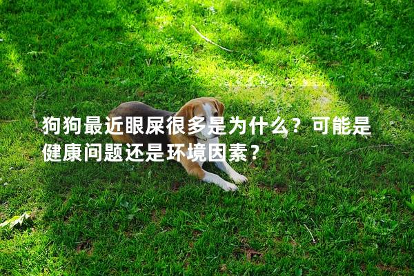 狗狗最近眼屎很多是為什么？可能是健康問題還是環境因素？