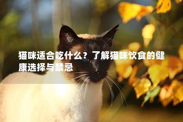 貓咪適合吃什么？了解貓咪飲食的健康選擇與禁忌