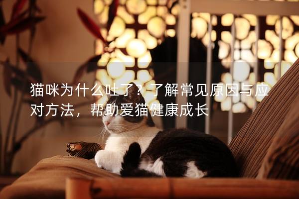 貓咪為什么吐了？了解常見原因與應(yīng)對方法，幫助愛貓健康成長