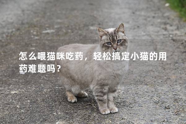 怎么喂貓咪吃藥，輕松搞定小貓的用藥難題嗎？