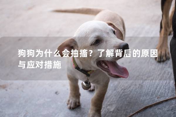 狗狗為什么會抽搐？了解背后的原因與應對措施