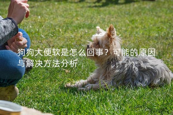 狗狗大便軟是怎么回事？可能的原因與解決方法分析