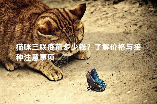 貓咪三聯疫苗多少錢？了解價格與接種注意事項