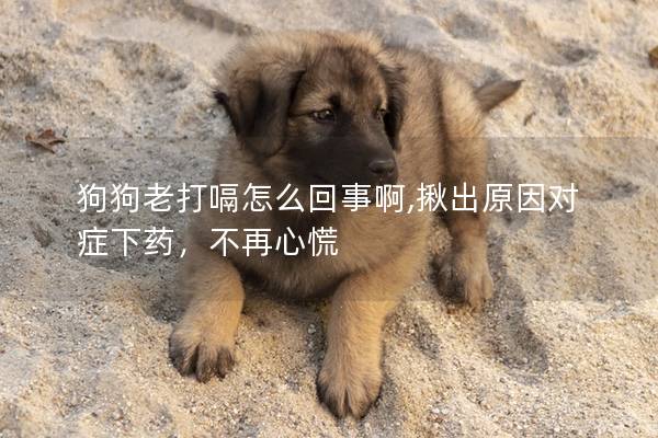 狗狗老打嗝怎么回事啊,揪出原因對癥下藥，不再心慌