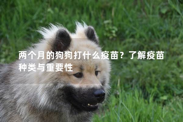 兩個月的狗狗打什么疫苗？了解疫苗種類與重要性