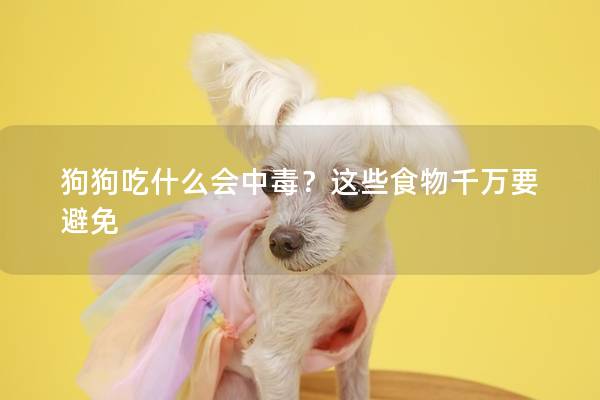 狗狗吃什么會中毒？這些食物千萬要避免