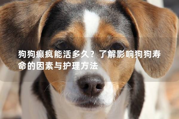 狗狗癲瘋能活多久？了解影響狗狗壽命的因素與護理方法