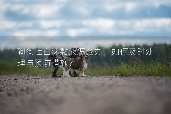 狗狗吐白沫黏液怎么辦，如何及時處理與預防措施？