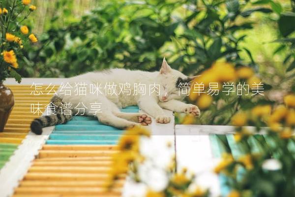 怎么給貓咪做雞胸肉，簡單易學的美味食譜分享