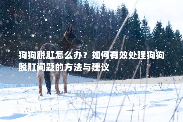 狗狗脫肛怎么辦？如何有效處理狗狗脫肛問題的方法與建議