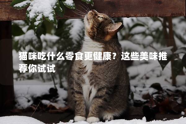 貓咪吃什么零食更健康？這些美味推薦你試試